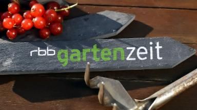 Logo Gartenzeit